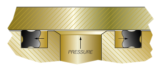 Quad-Ring® Brand Face Seal